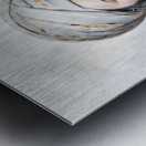 Ben Ish Chai Metal print